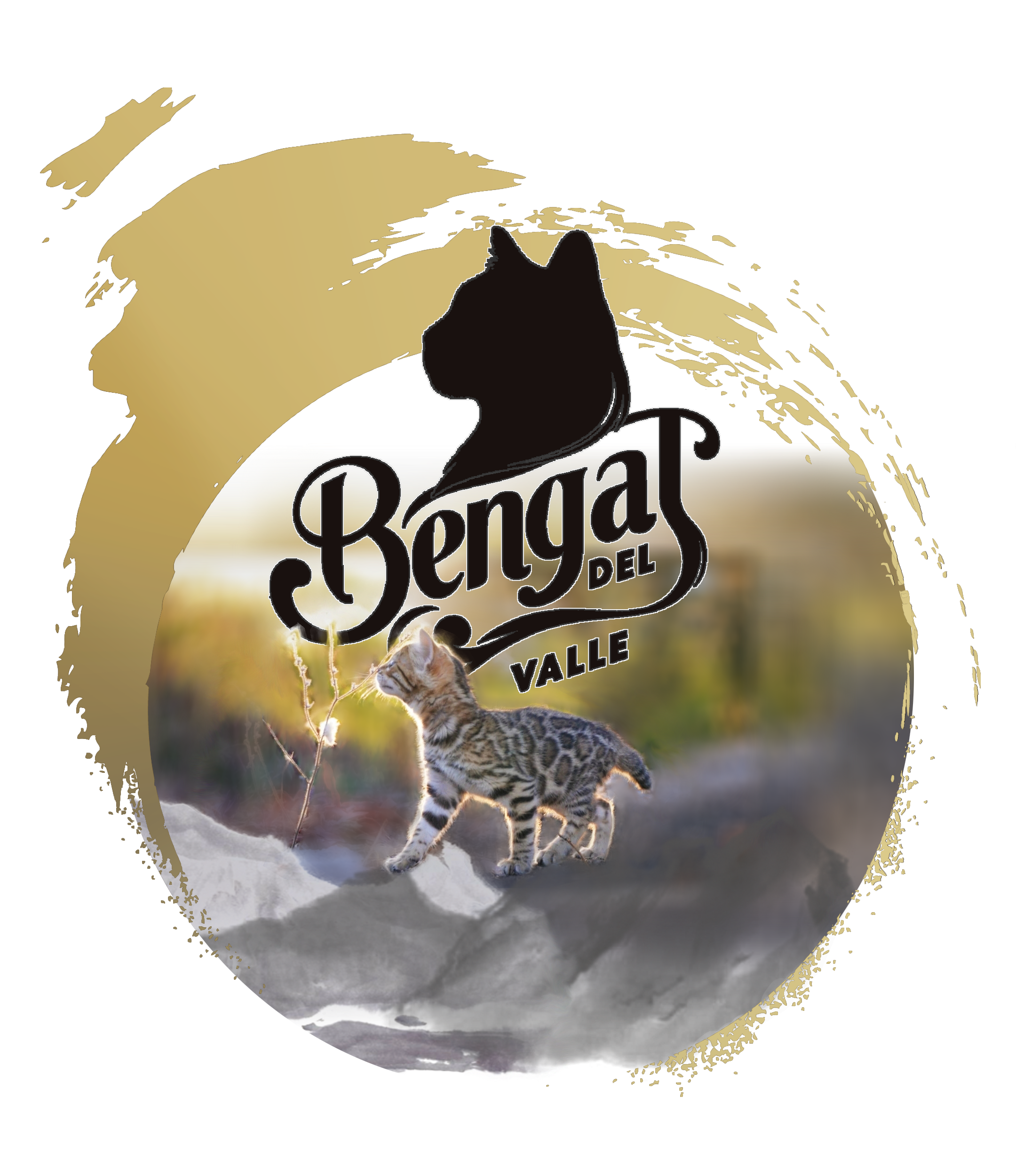 Bengal del Valley